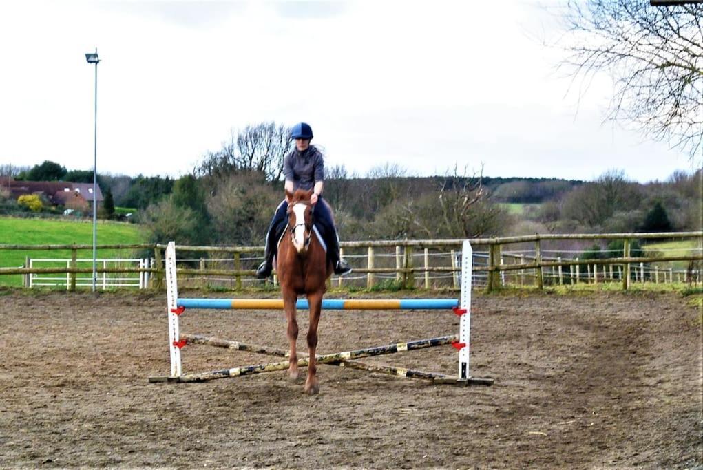 Hillfields Farm Barn - A Rural Equestrian Escape Apartment Coventry Ngoại thất bức ảnh